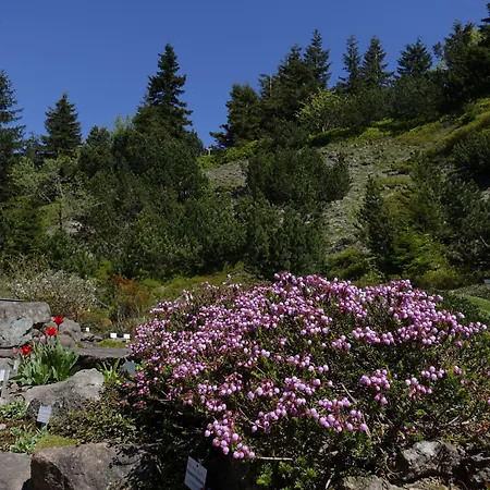 Hotel Haus Saarland Oberhof (Thuringia)