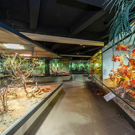 Haus Saarland 2* Oberhof (Thuringia)