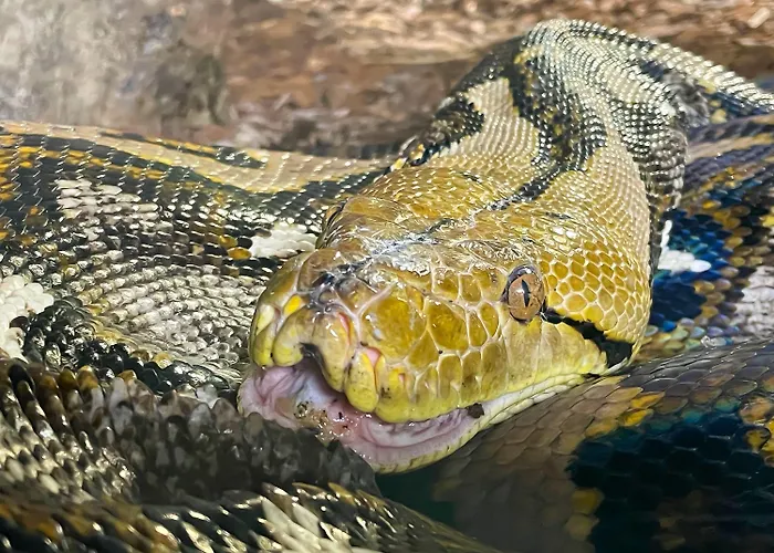 Otel Haus Saarland 2*