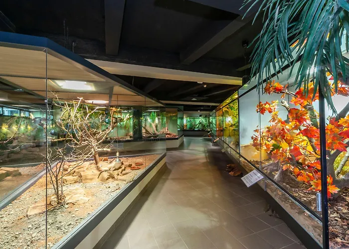 Haus Saarland 2* Oberhof (Thuringia)